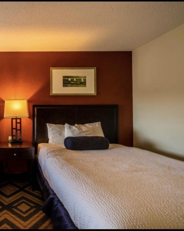 The Patch Lodge Warroad Екстер'єр фото